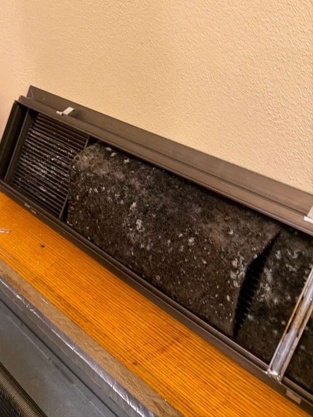 Grille pulled from an HVAC vent, its filter pad covered in dark mold growth with white spots
