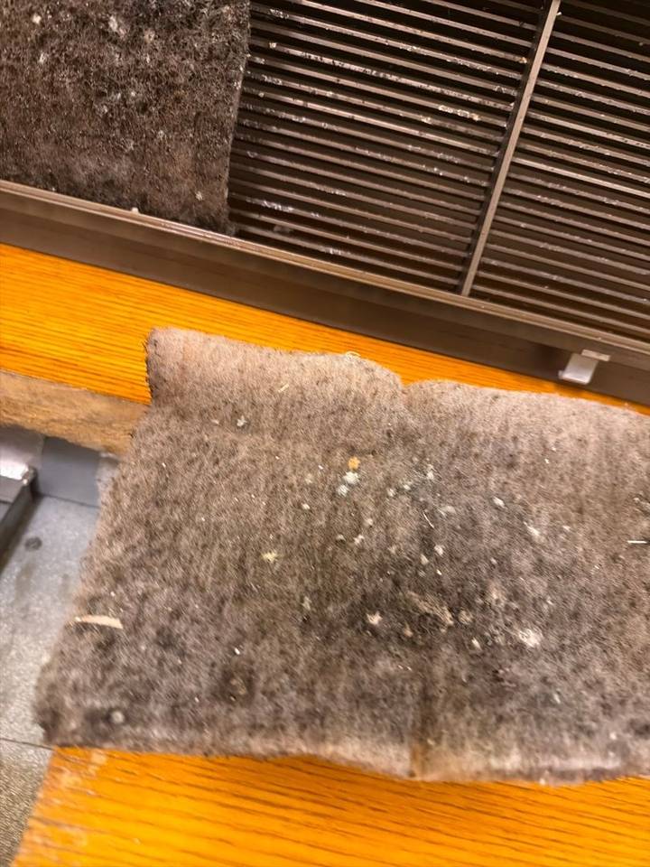 Filter pad removed from a vent, flecked with mold, next to the unit's grille